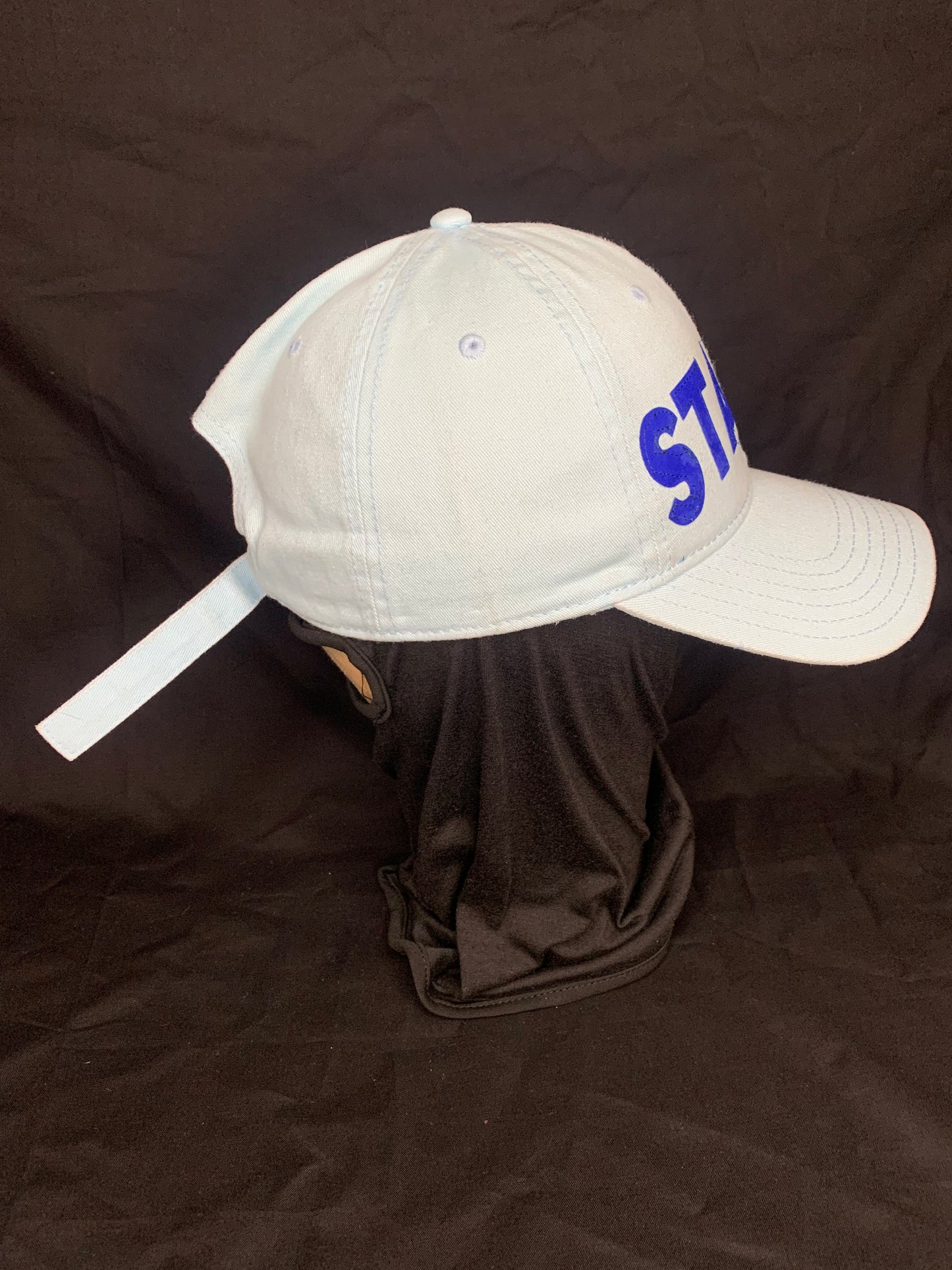 Stashie Dad Golf Hat