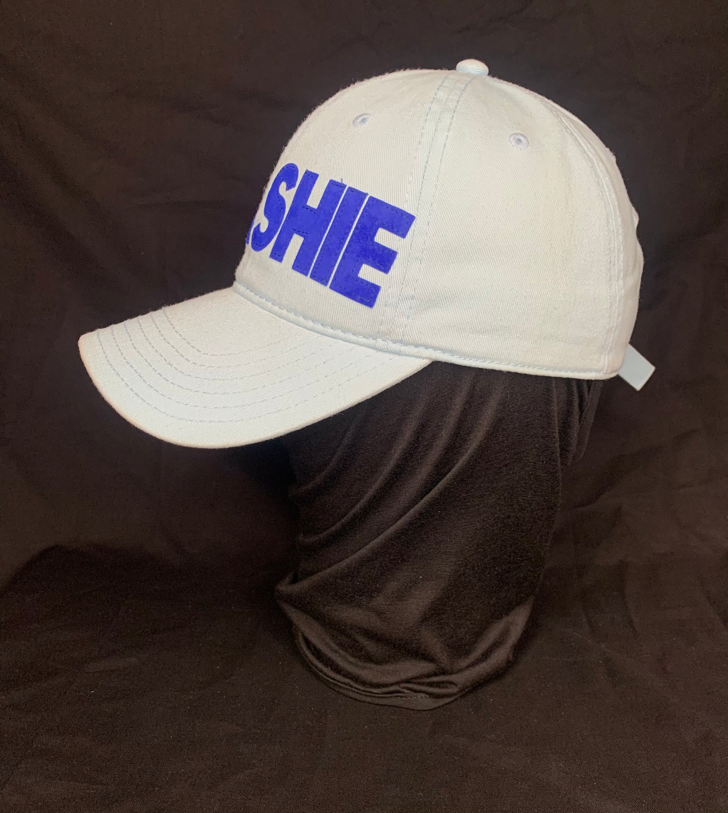 Stashie Dad Golf Hat